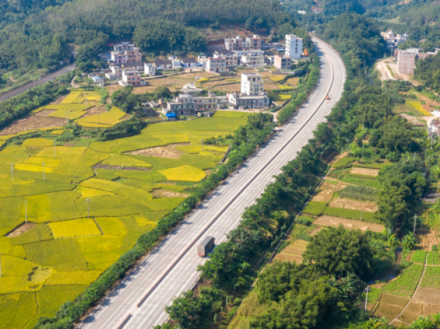国道324线岑溪至容县一级公路两侧种满农作物。(梁贵 摄).jpg